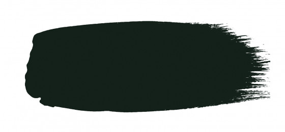 Little Greene Absolute Matt Emulsion Paint Obsidian Green 216 T 5lt